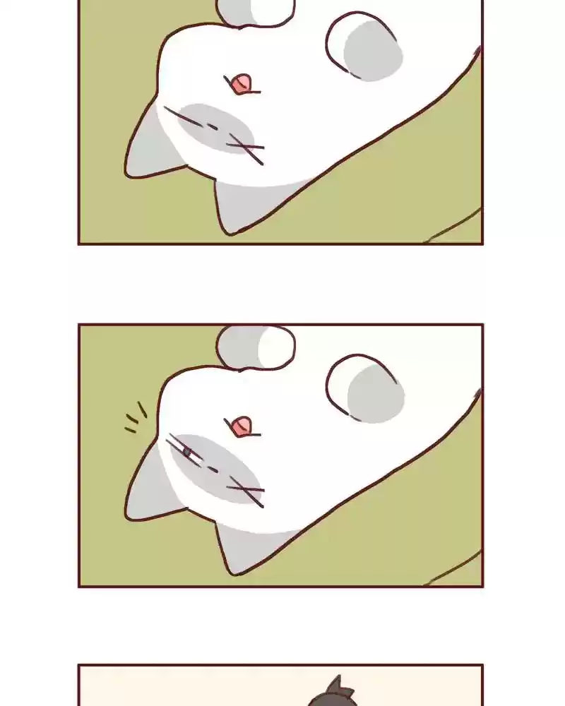 Saphie: The One-Eyed Cat Chapter 362: