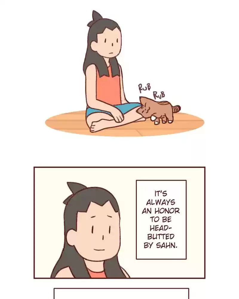 Saphie: The One-Eyed Cat Chapter 363: