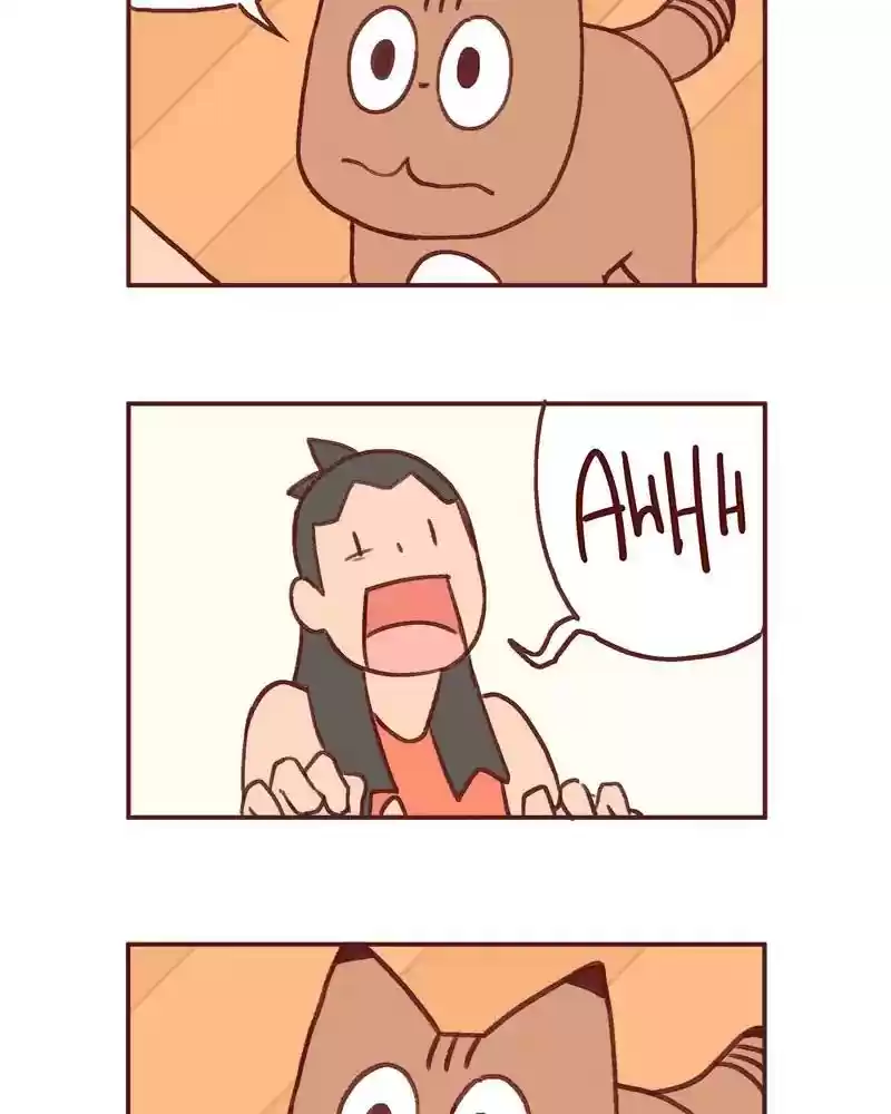 Saphie: The One-Eyed Cat Chapter 363: