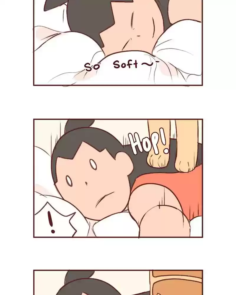 Saphie: The One-Eyed Cat Chapter 364: