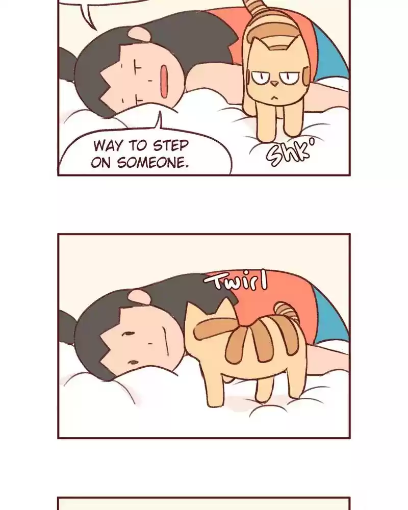 Saphie: The One-Eyed Cat Chapter 364: