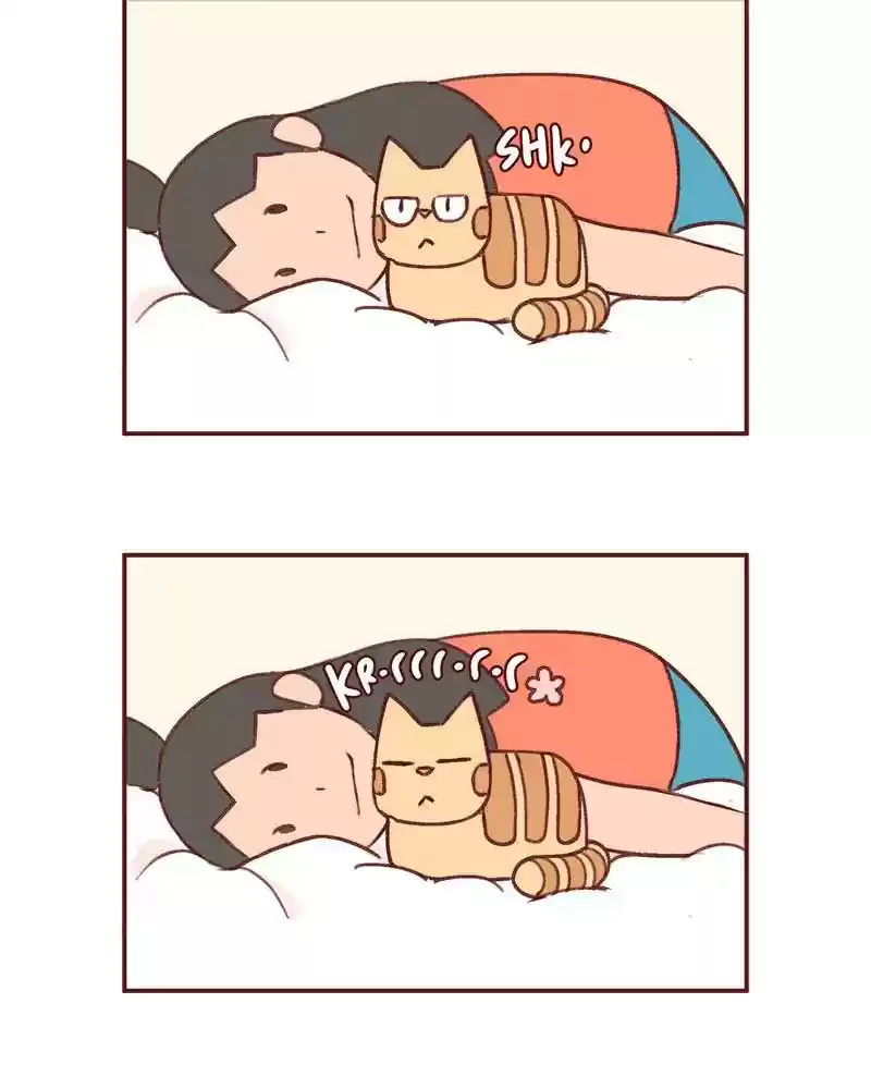 Saphie: The One-Eyed Cat Chapter 364: