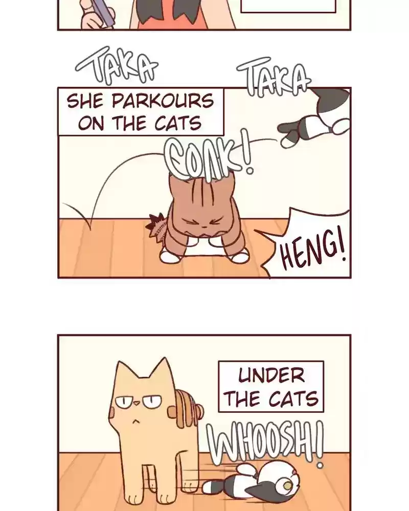 Saphie: The One-Eyed Cat Chapter 365: