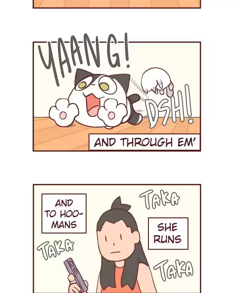 Saphie: The One-Eyed Cat Chapter 365: