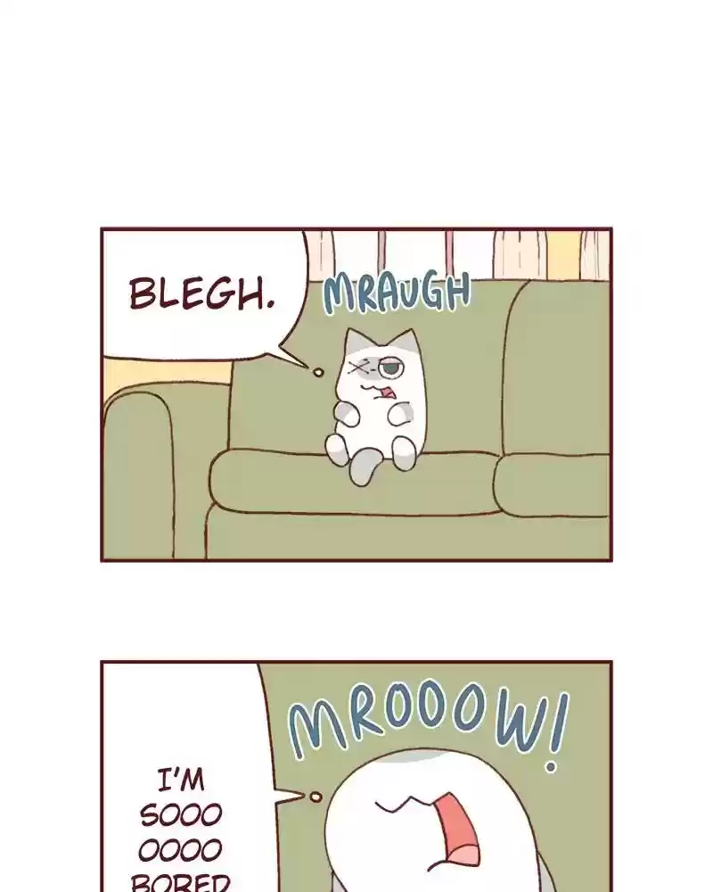 Saphie: The One-Eyed Cat Chapter 366: