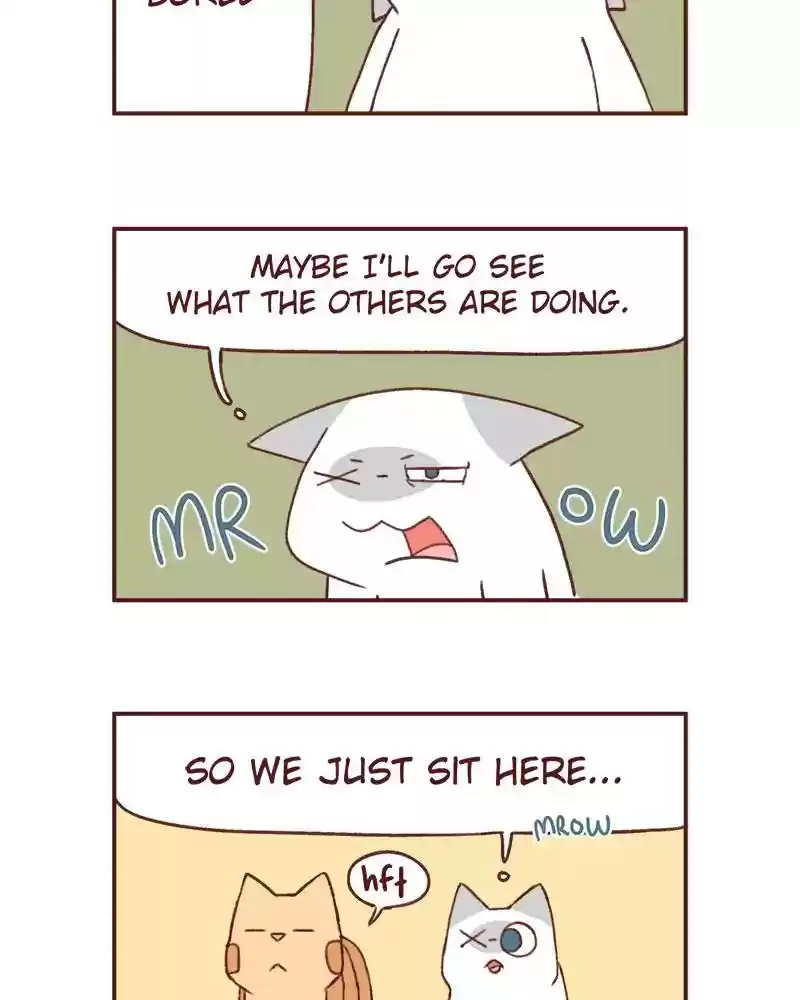 Saphie: The One-Eyed Cat Chapter 366: