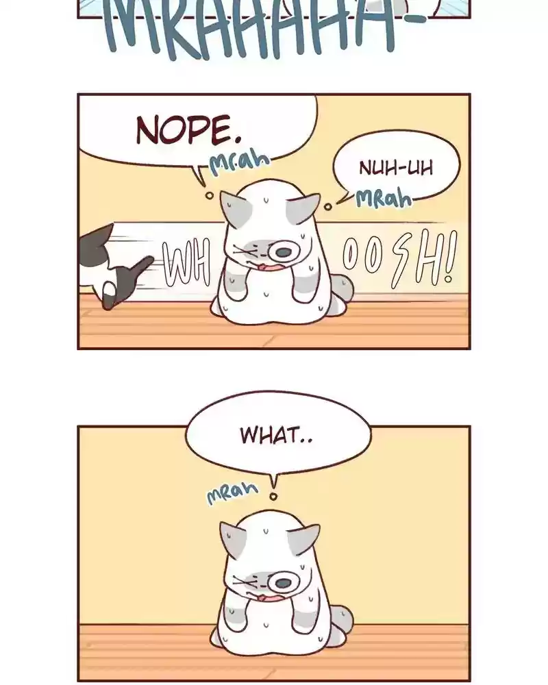 Saphie: The One-Eyed Cat Chapter 366: