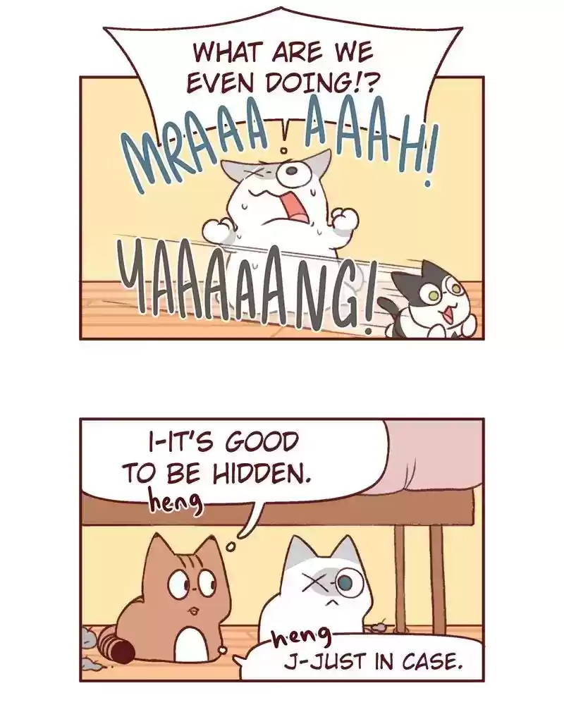 Saphie: The One-Eyed Cat Chapter 366: