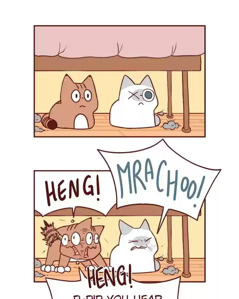 Saphie: The One-Eyed Cat Chapter 366: