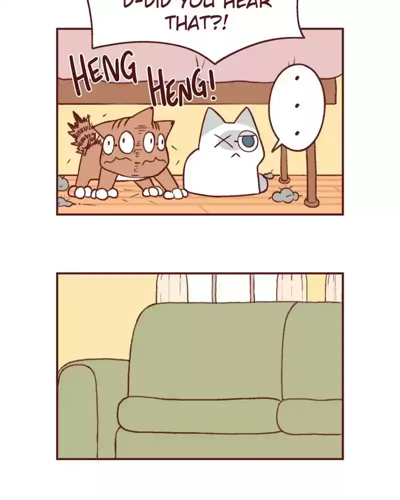 Saphie: The One-Eyed Cat Chapter 366: