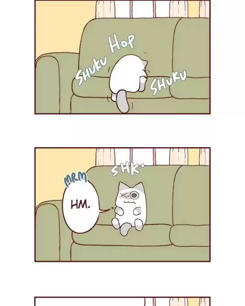 Saphie: The One-Eyed Cat Chapter 366: