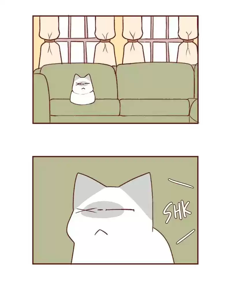 Saphie: The One-Eyed Cat Chapter 367: