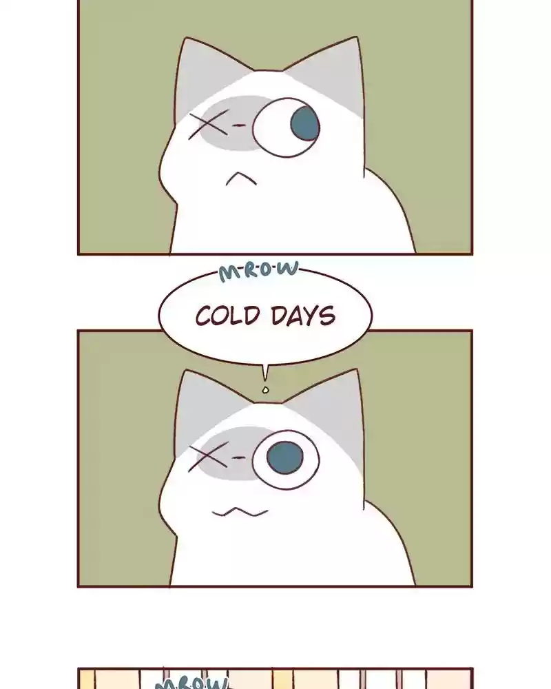 Saphie: The One-Eyed Cat Chapter 367: