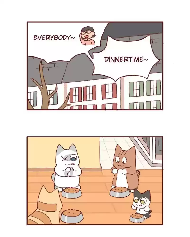 Saphie: The One-Eyed Cat Chapter 369: