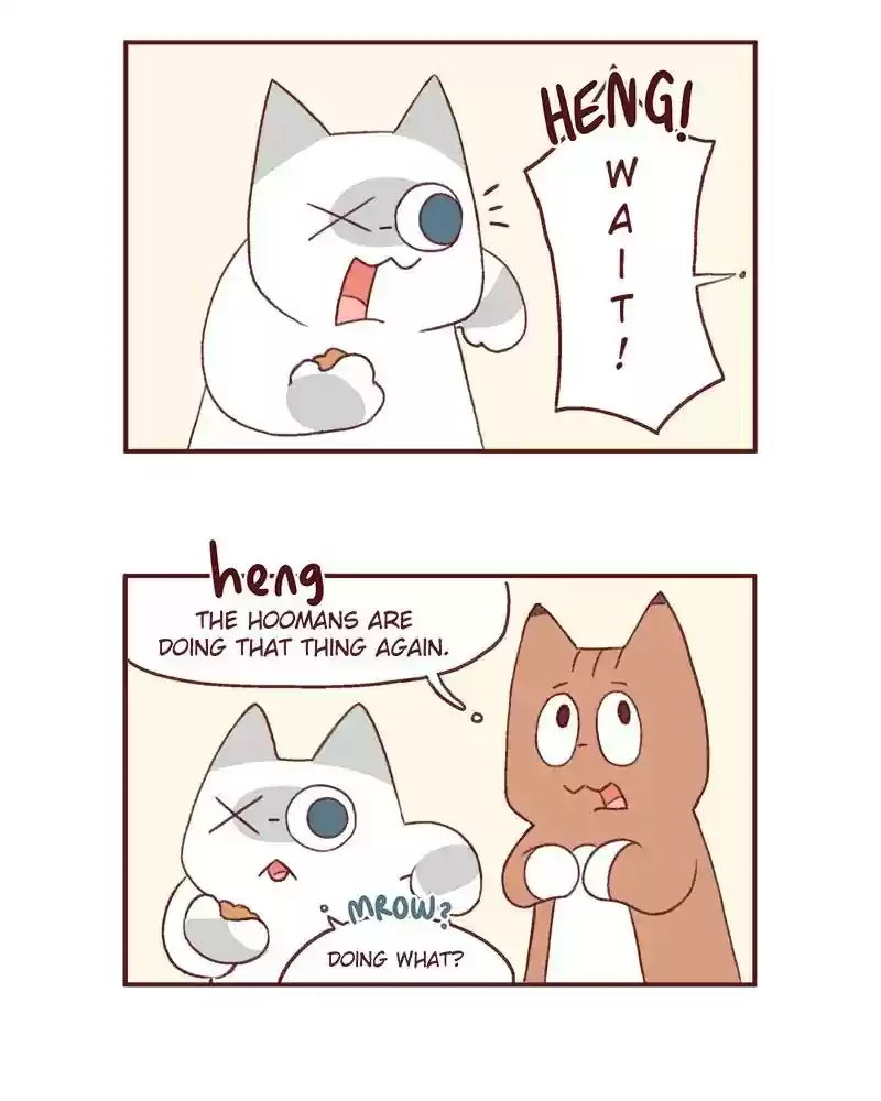 Saphie: The One-Eyed Cat Chapter 369: