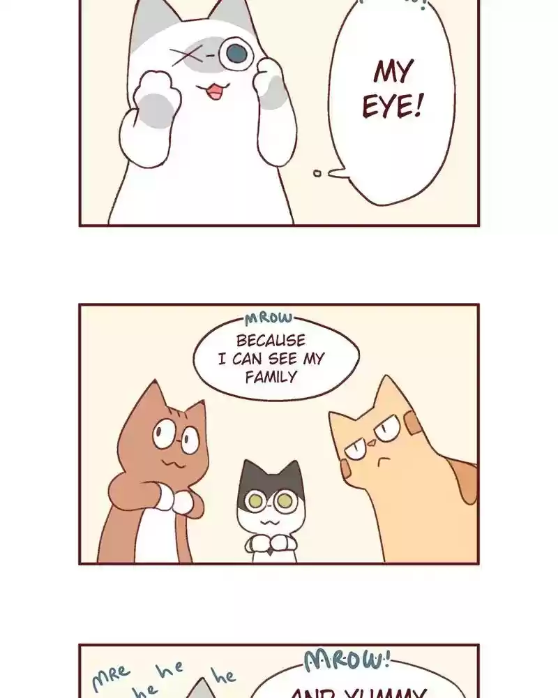 Saphie: The One-Eyed Cat Chapter 369: