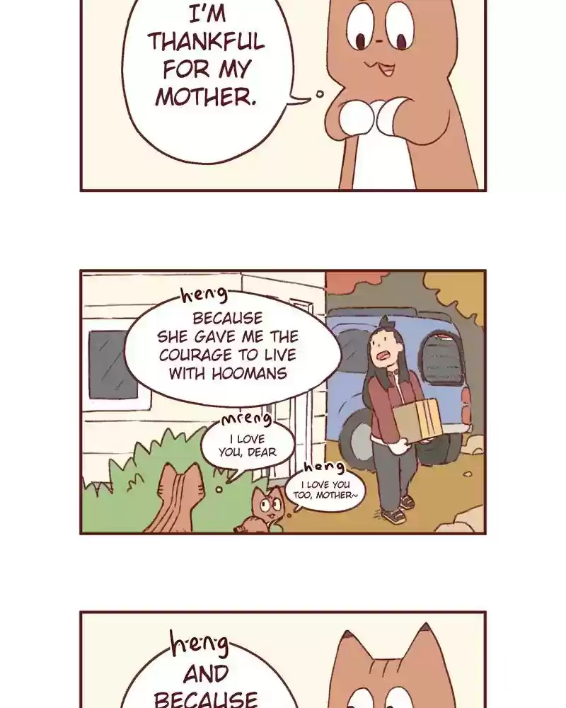 Saphie: The One-Eyed Cat Chapter 369: