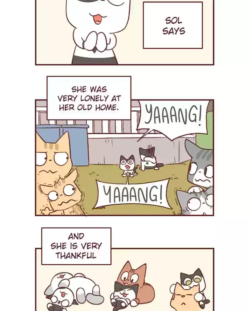 Saphie: The One-Eyed Cat Chapter 369: