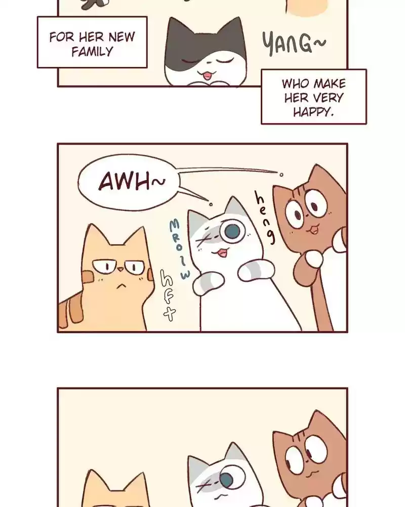 Saphie: The One-Eyed Cat Chapter 369: