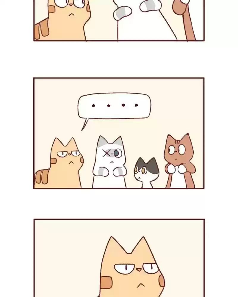 Saphie: The One-Eyed Cat Chapter 369: