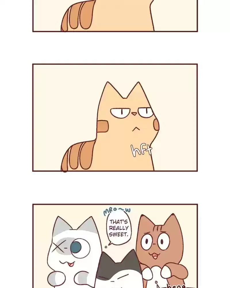 Saphie: The One-Eyed Cat Chapter 369: