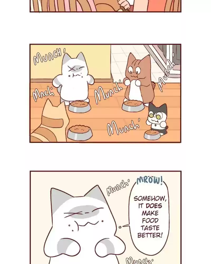 Saphie: The One-Eyed Cat Chapter 369: