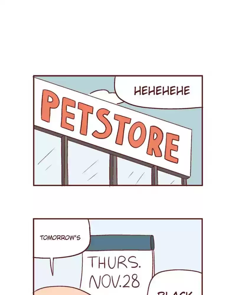 Saphie: The One-Eyed Cat Chapter 370: