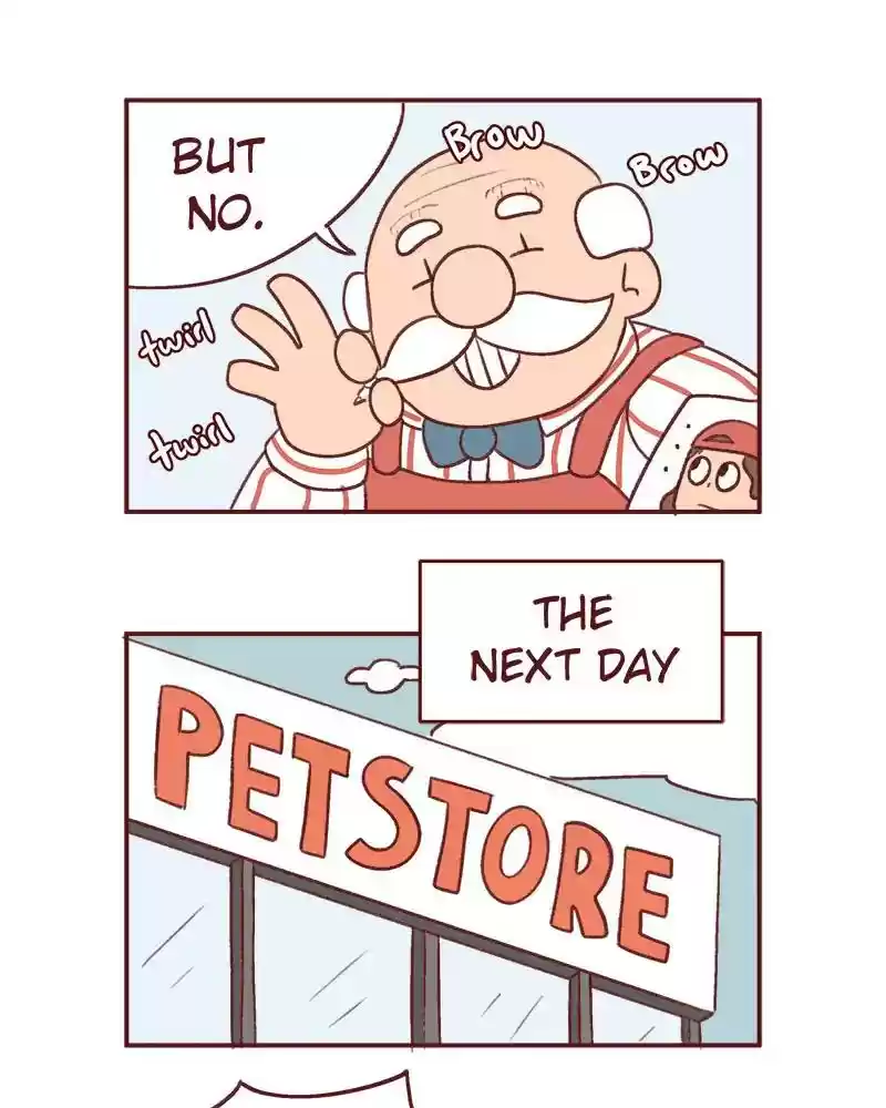 Saphie: The One-Eyed Cat Chapter 370: