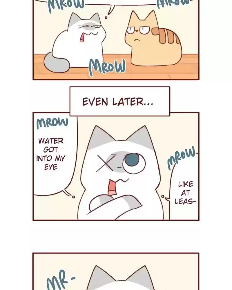Saphie: The One-Eyed Cat Chapter 371: