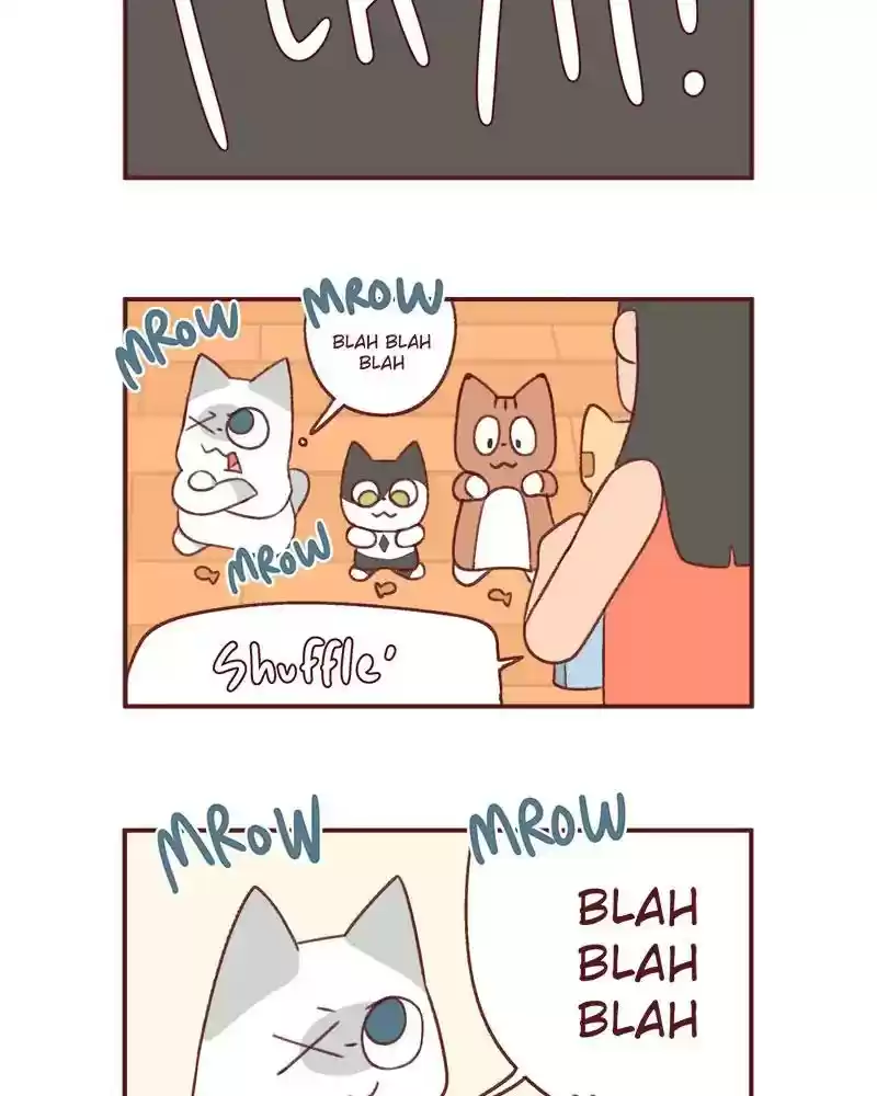 Saphie: The One-Eyed Cat Chapter 371: