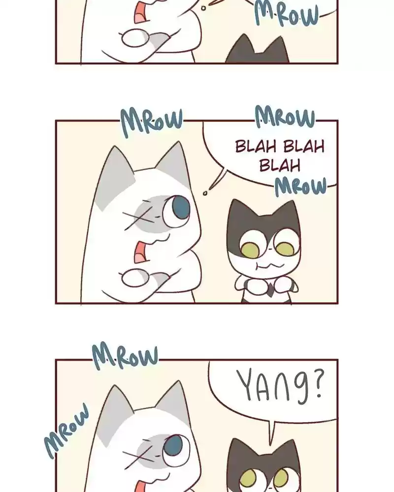 Saphie: The One-Eyed Cat Chapter 371: