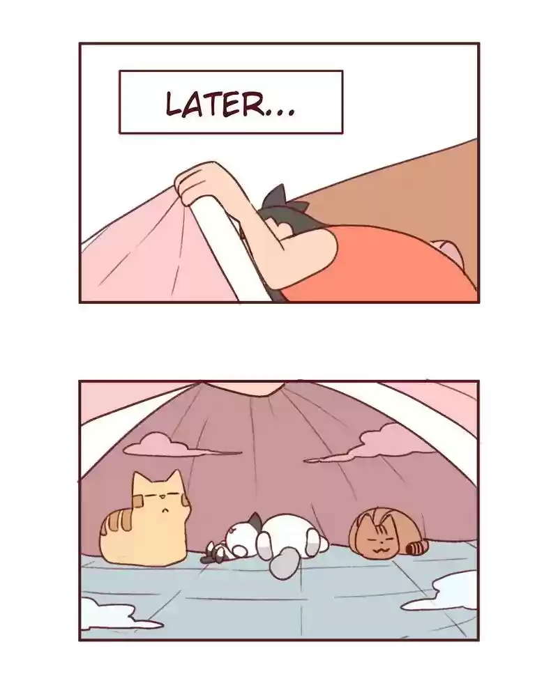 Saphie: The One-Eyed Cat Chapter 372: