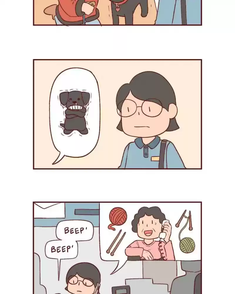 Saphie: The One-Eyed Cat Chapter 373: