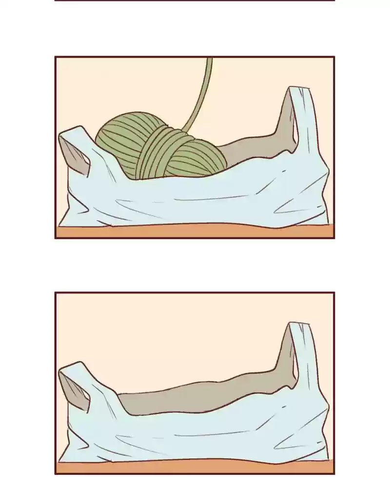 Saphie: The One-Eyed Cat Chapter 373: