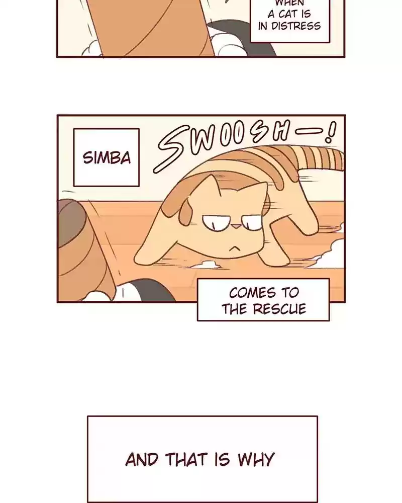 Saphie: The One-Eyed Cat Chapter 374: