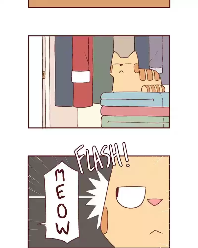 Saphie: The One-Eyed Cat Chapter 374: