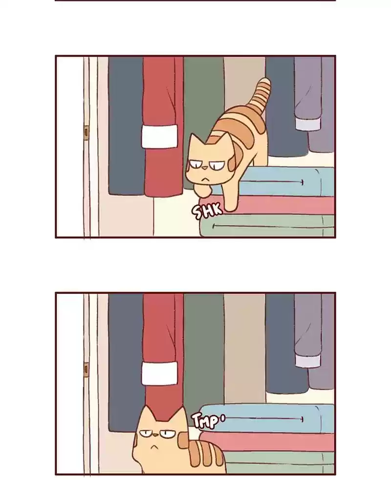 Saphie: The One-Eyed Cat Chapter 374: