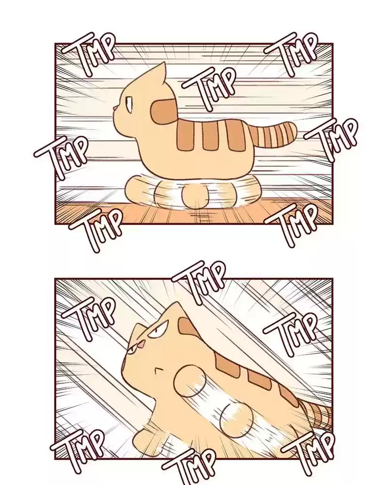 Saphie: The One-Eyed Cat Chapter 374: