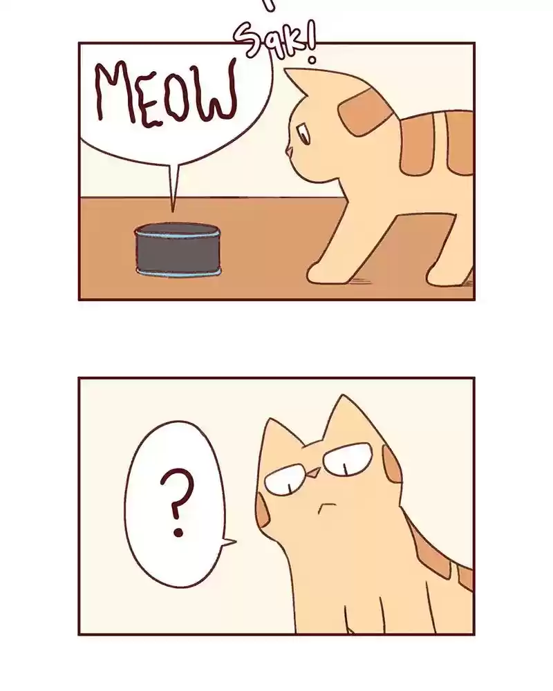 Saphie: The One-Eyed Cat Chapter 374: