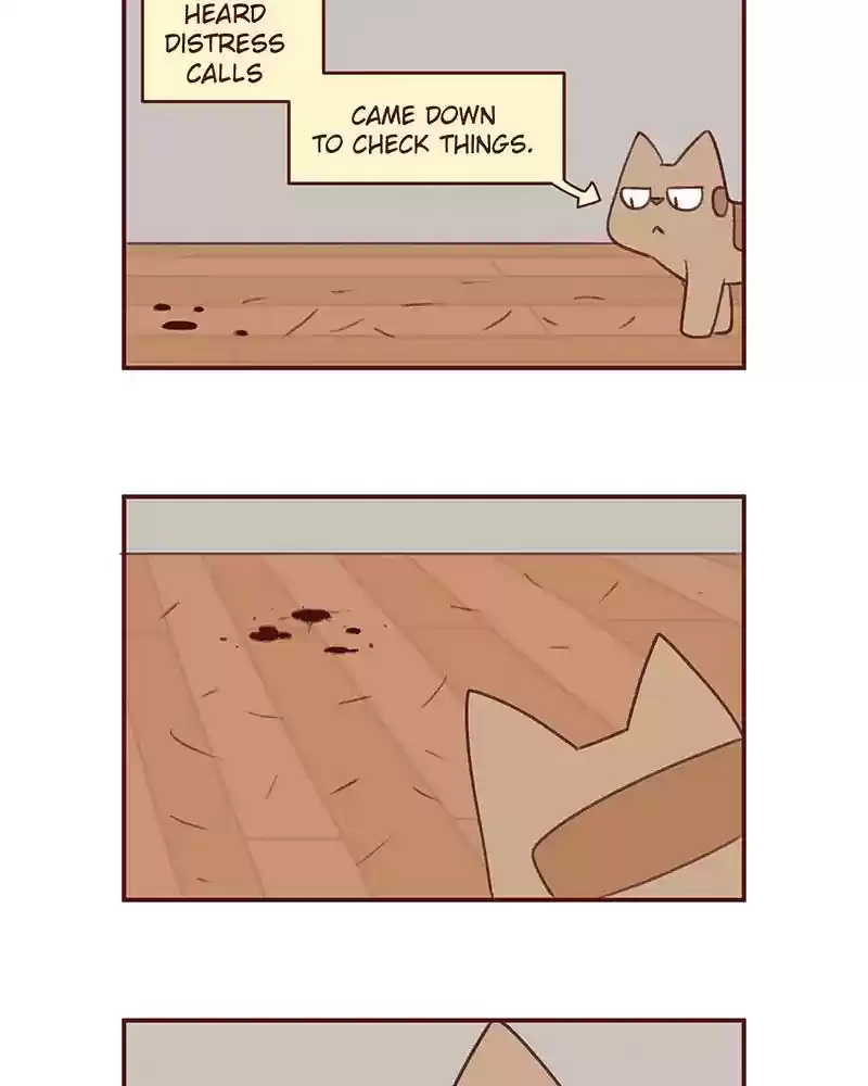 Saphie: The One-Eyed Cat Chapter 375: