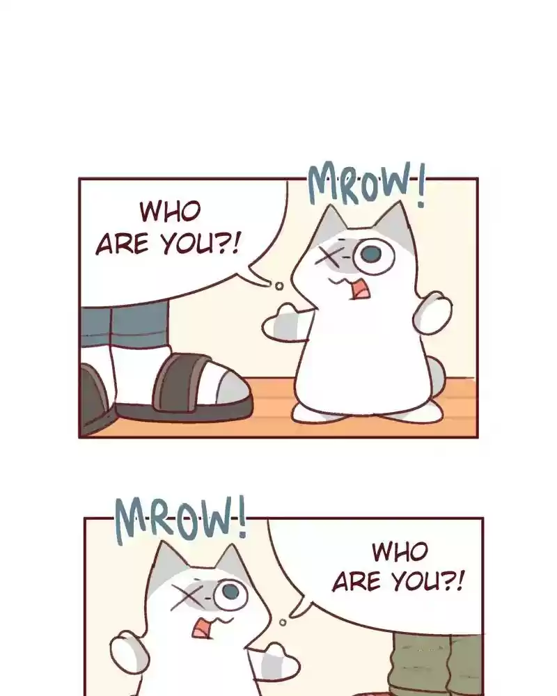 Saphie: The One-Eyed Cat Chapter 378: