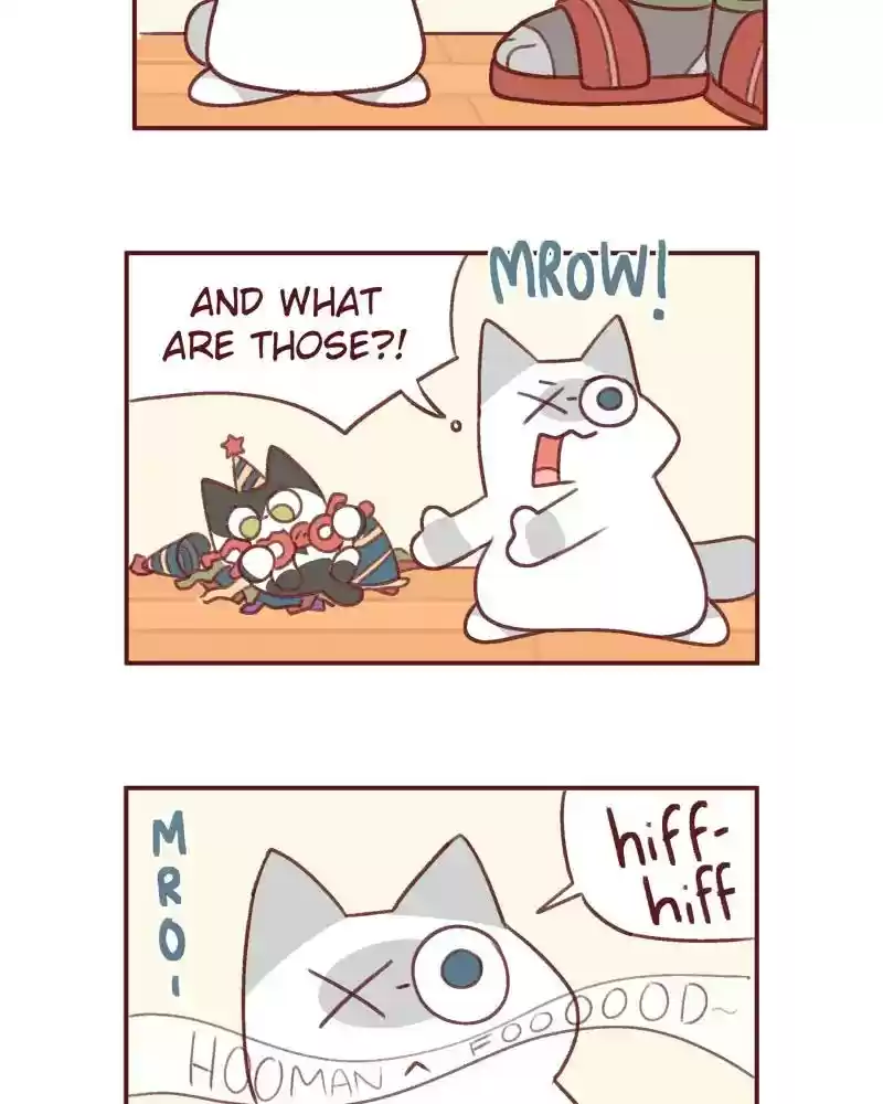 Saphie: The One-Eyed Cat Chapter 378: