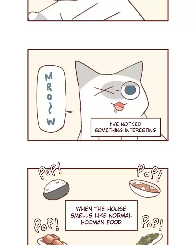 Saphie: The One-Eyed Cat Chapter 378: