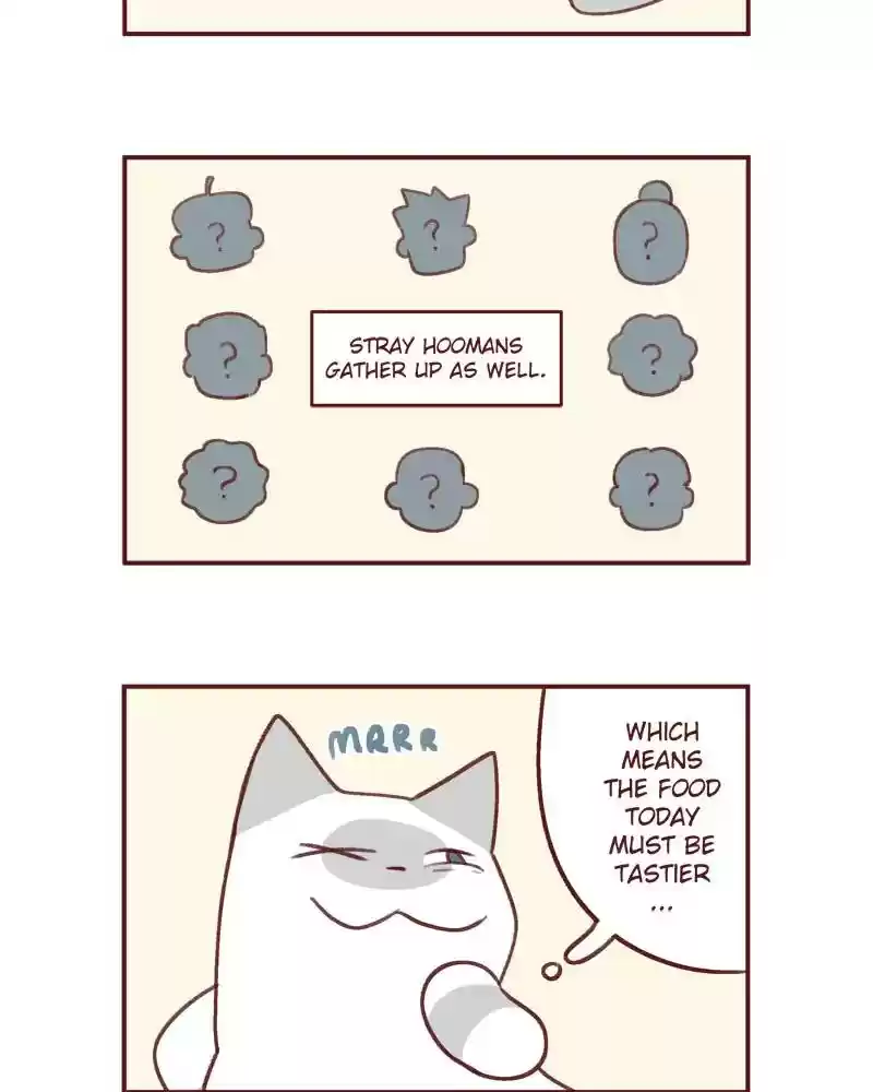 Saphie: The One-Eyed Cat Chapter 378: