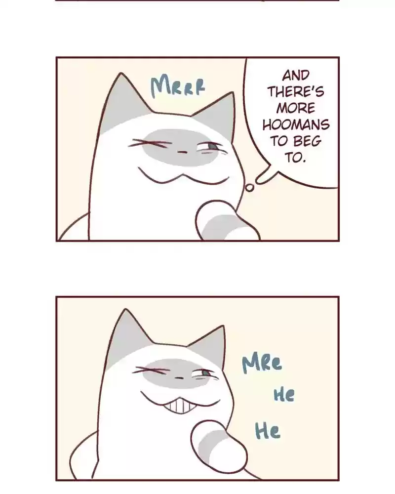 Saphie: The One-Eyed Cat Chapter 378: