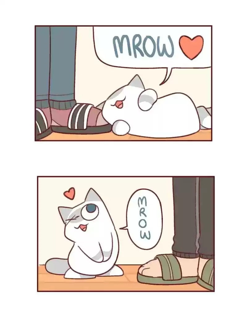 Saphie: The One-Eyed Cat Chapter 378: