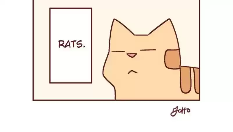 Saphie: The One-Eyed Cat Chapter 378: