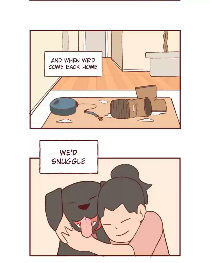 Saphie: The One-Eyed Cat Chapter 380: