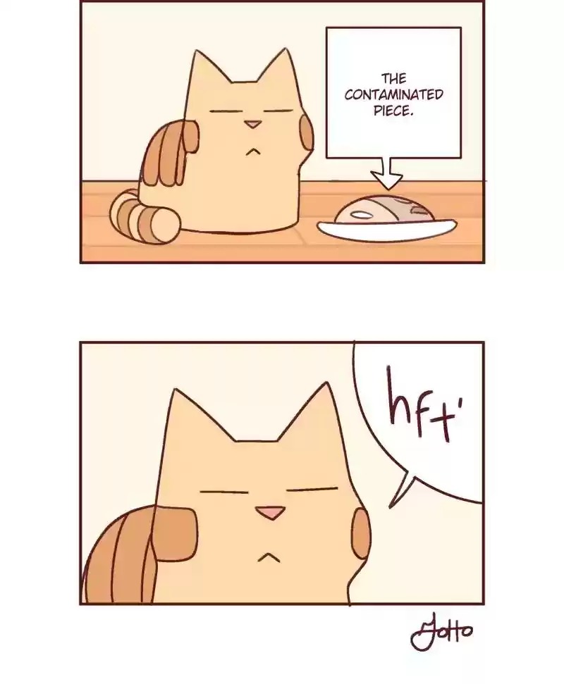 Saphie: The One-Eyed Cat Chapter 383: