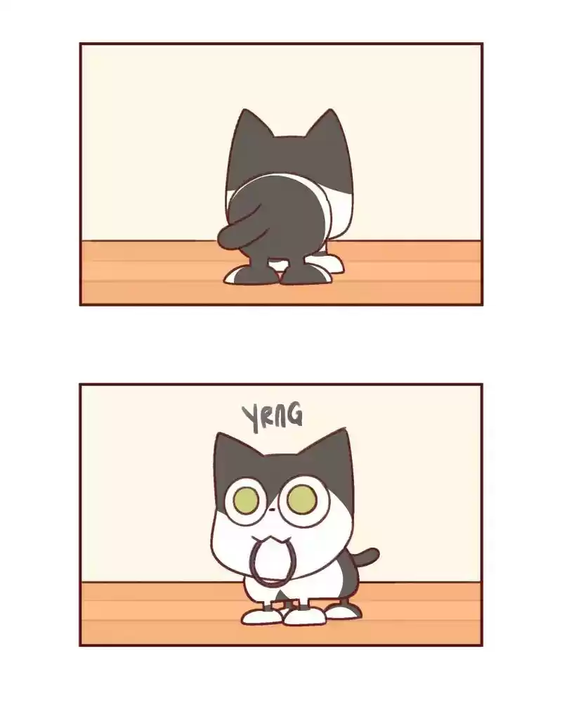 Saphie: The One-Eyed Cat Chapter 384: